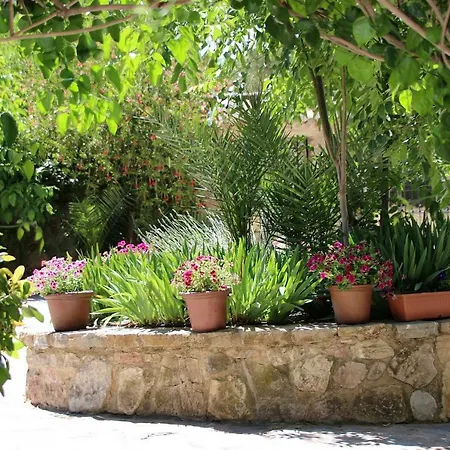 Casa rural Molino Rodete